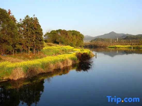 Wuyuan Shuizhu Qingyuan Homestay