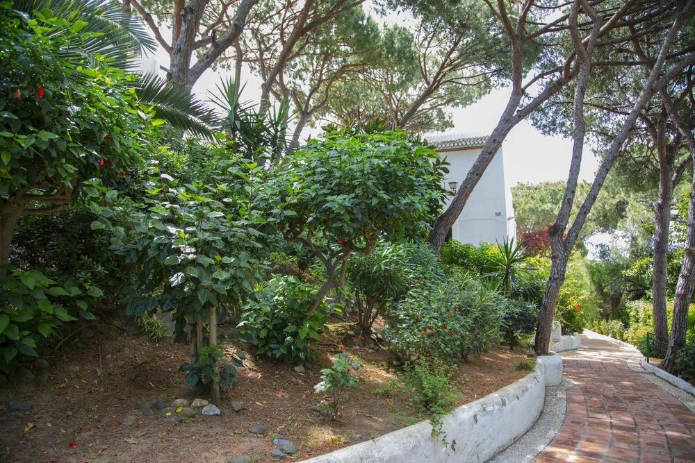 Apartment With 2 Bedrooms in Málaga, With Pool Access, Furnished Terra