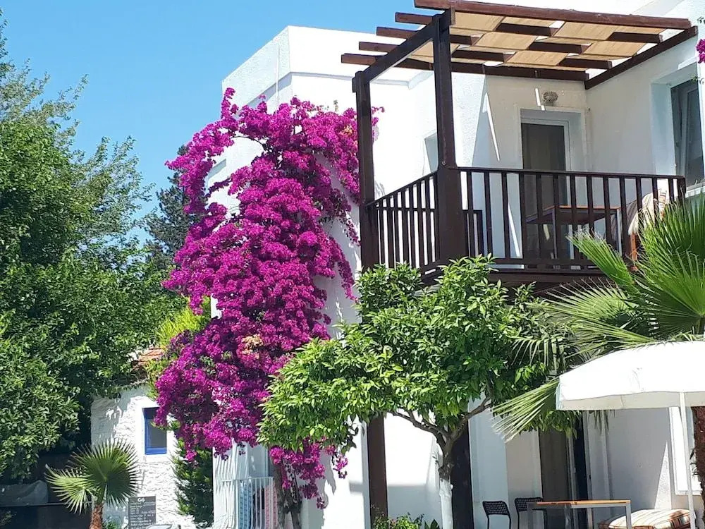 Meis Hotel