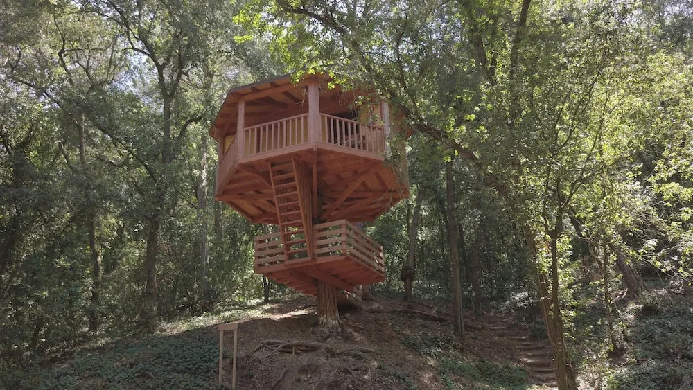 Cabanes Dosrius