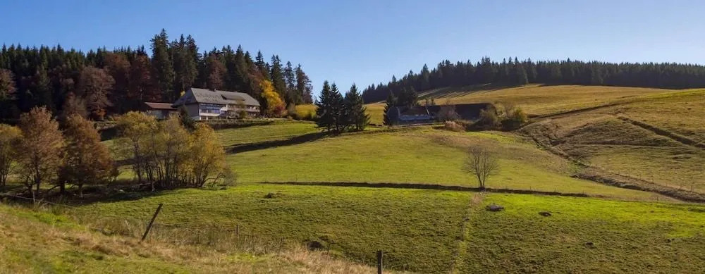 Berggasthaus Gisiboden Alm