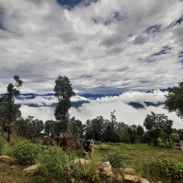 The Kanatal Arbour