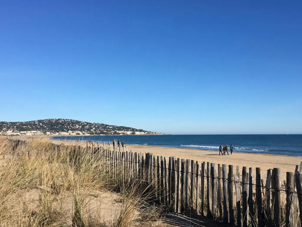 Appartement Sète, 2 pièces, 4 personnes - FR-1-338-96