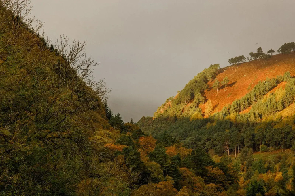 The Glendalough Hotel