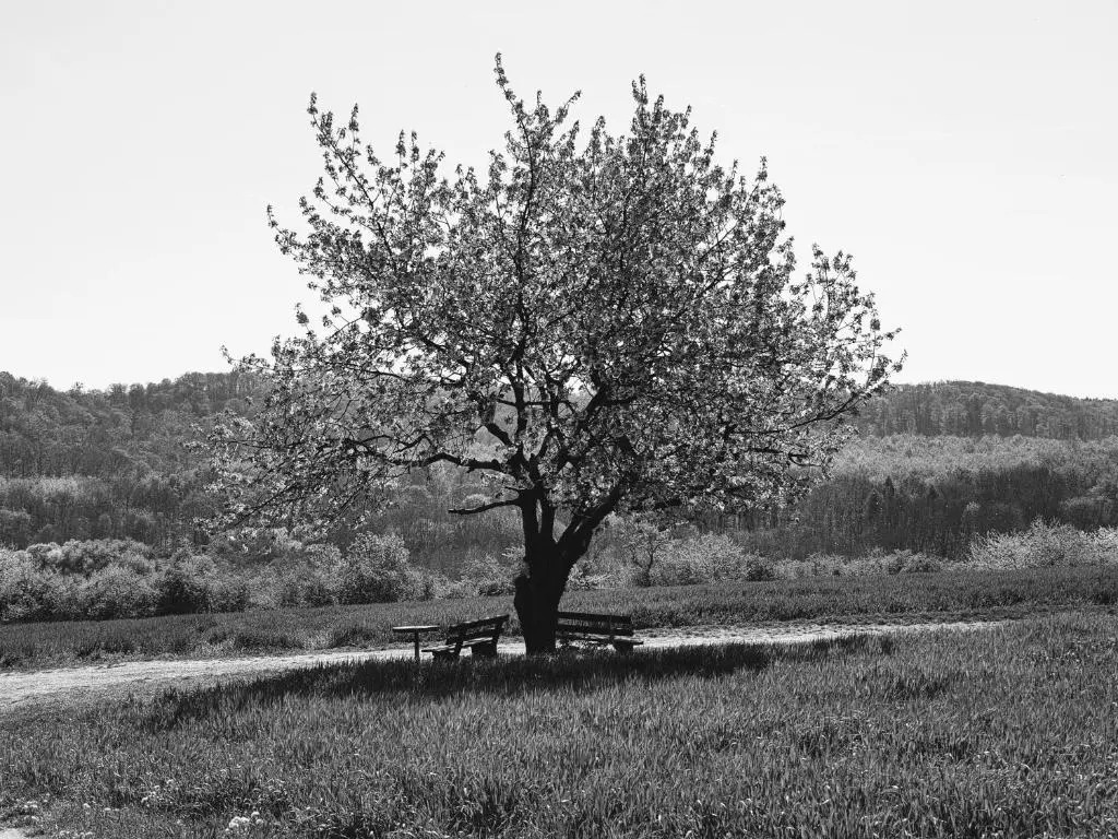 Villa Bianca am Huy