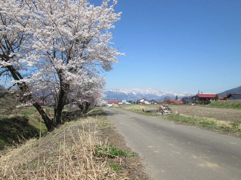 Business Inn Iiyama