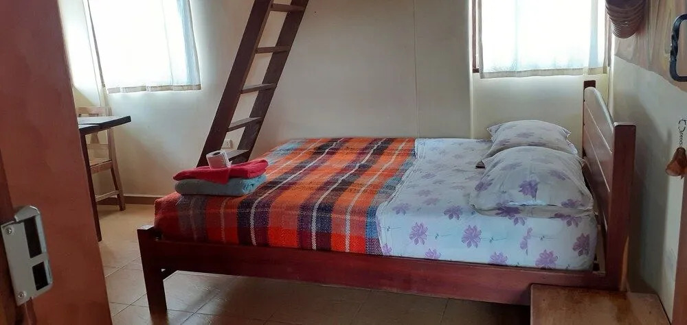 Andorina Hostal, Arte & Cultura