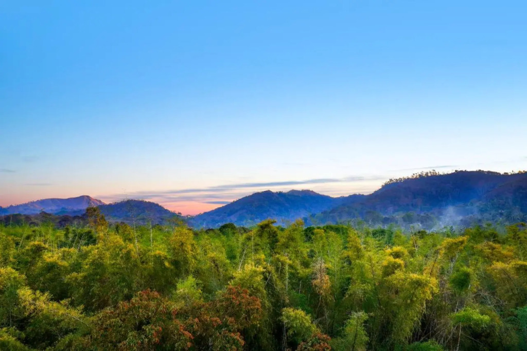 Keys Prima By Lemon Tree Hotels, Thekkady