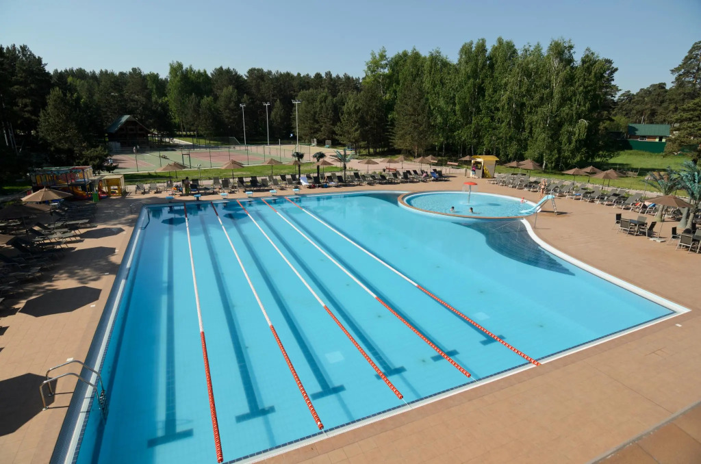 Борвиха