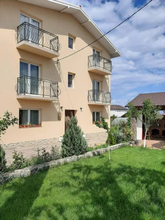 Roman Costinesti camere de inchiriat