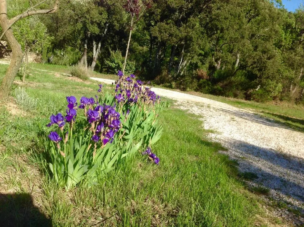 Vaugines Lourmarin
