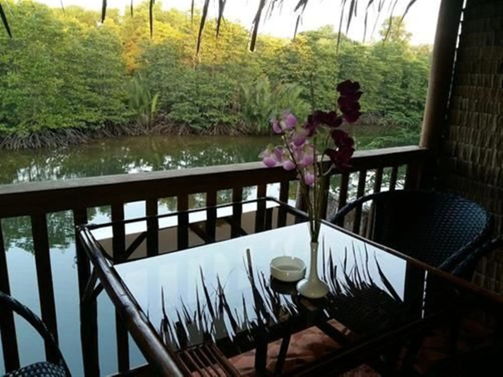 Mangroves & More