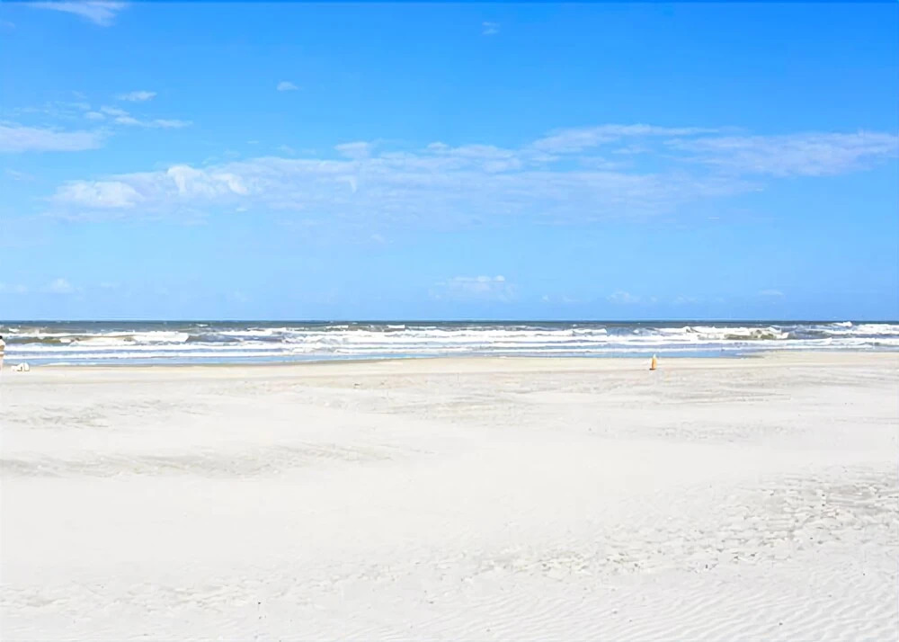 Ocean Village Club M31 - One Bedroom Condo