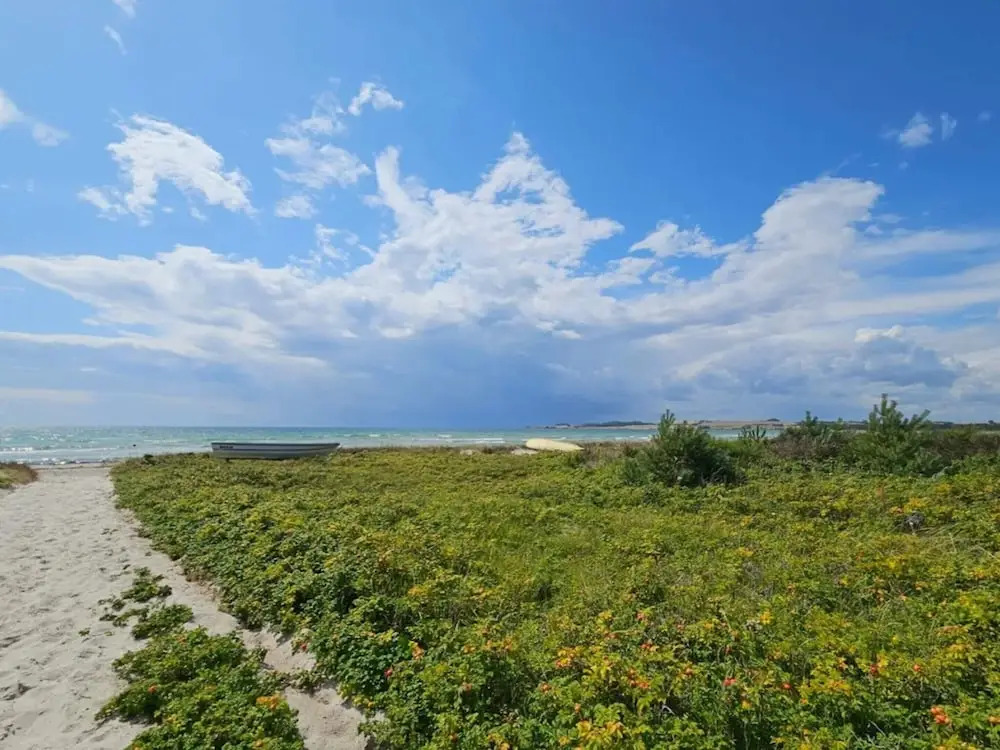4 star holiday home in Knebel