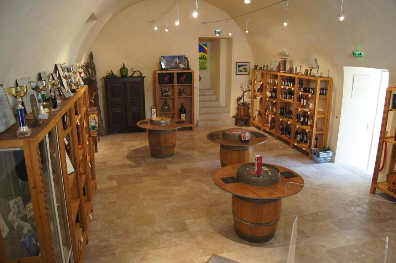 Chateau de Mons en Armagnac