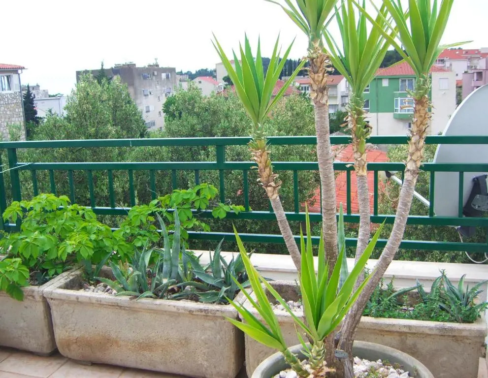 Makarska City Center Apartments