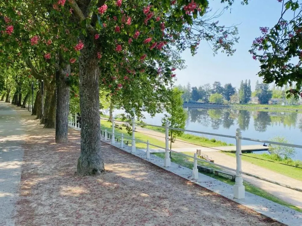 Appartement Vichy, 2 pièces, 2 personnes - FR-1-489-366