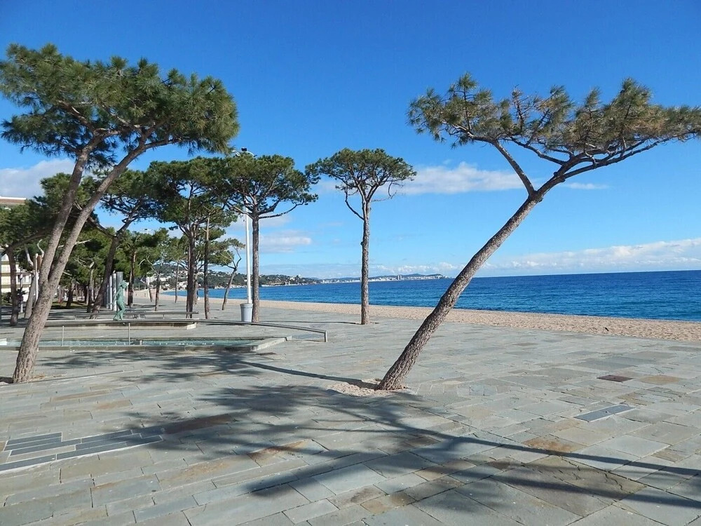 Apartamento con Parking Mar d'Or PB 4