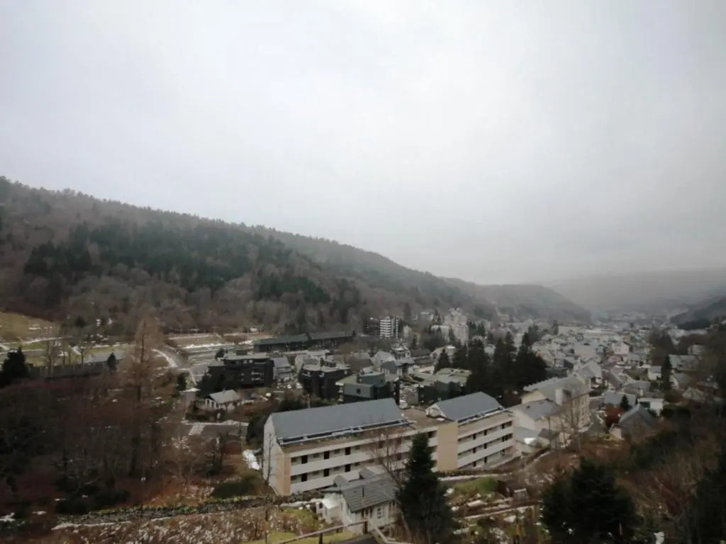 Appartement Mont-Dore, 2 pièces, 6 personnes - FR-1-608-156