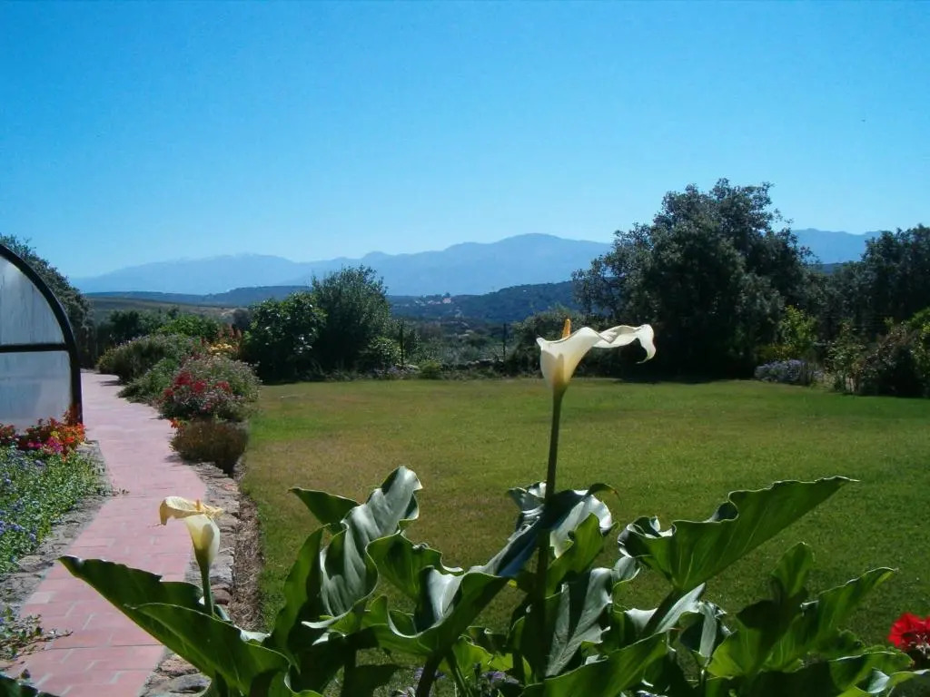 Apartamentos El Jardín del Poeta