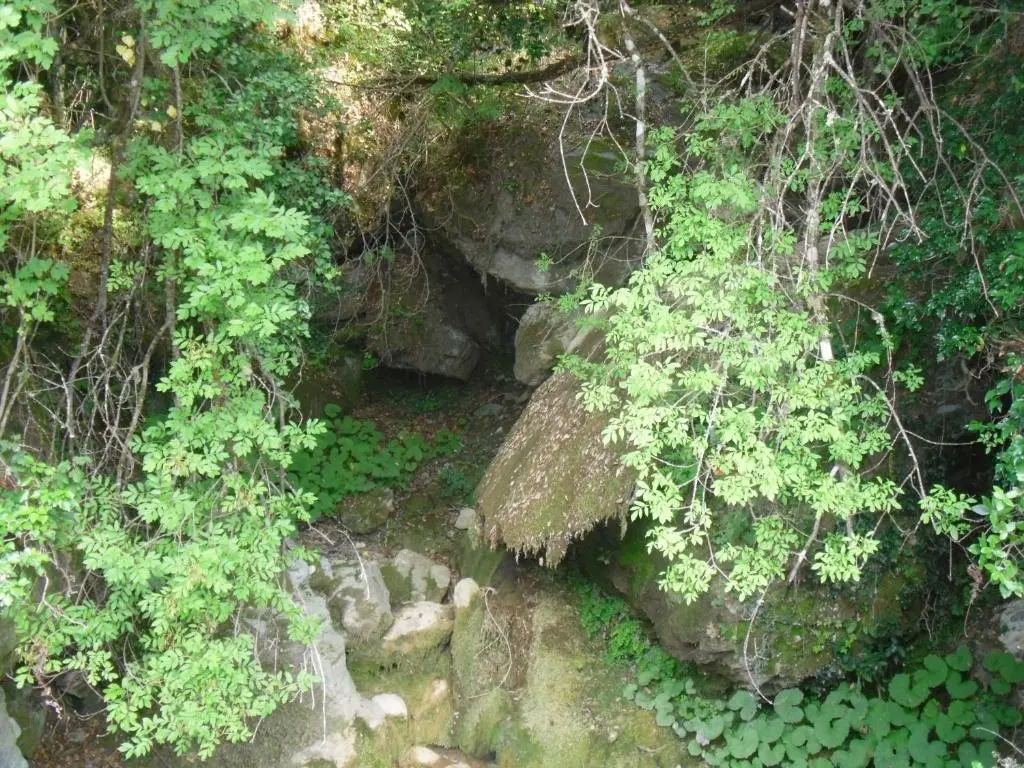 Chambre dHôtes La Marlotte
