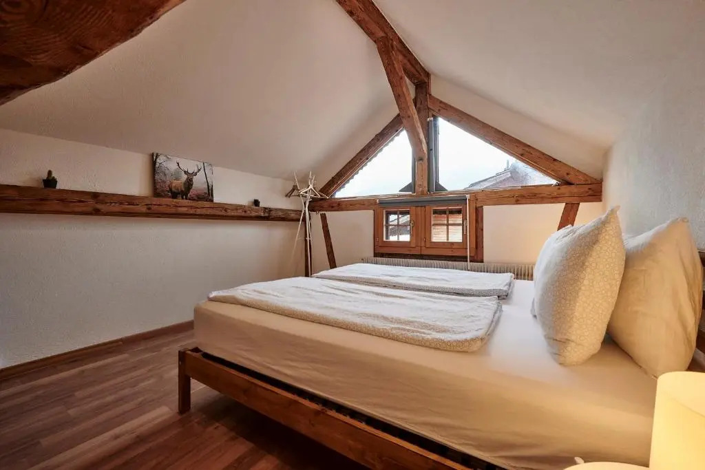 Lakeside Tiny House Brienz