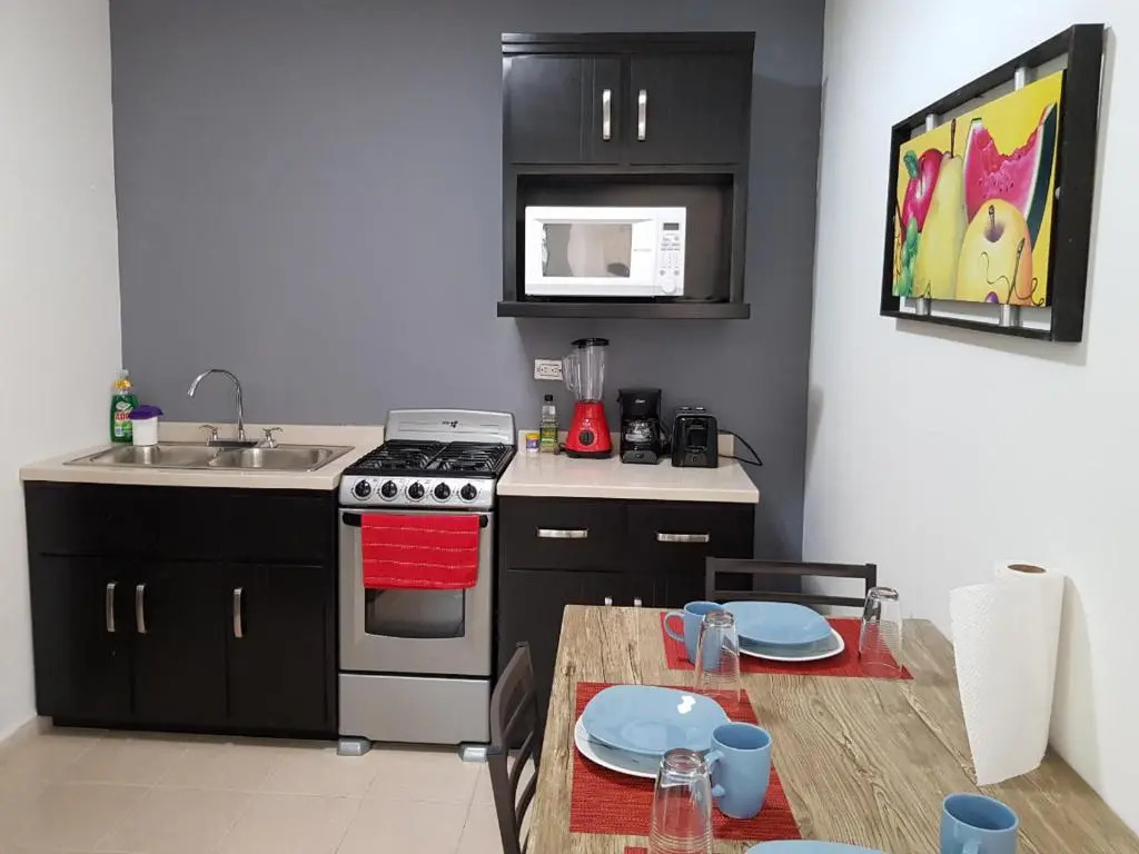 Contry La Silla Apartments zona tec - Nuevo Sur