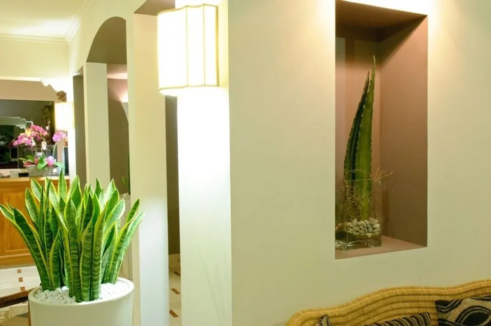 HOTEL TRIONFAL - Fronte Mare - Vicinissimi al Centro