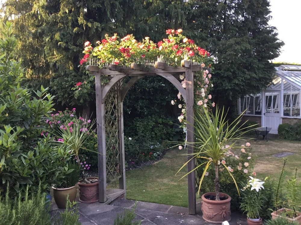 Norfolk House Bed and Breakfast