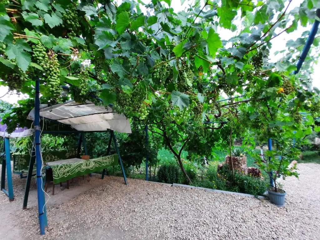 Ararat B&B