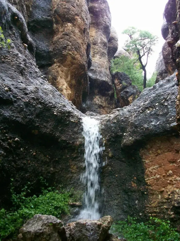 Sasa Safari Camp & Tours