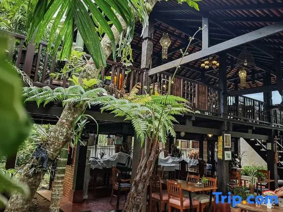 Vieng Pun Dao Resort