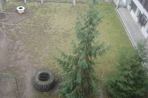 Csaba Apartman
