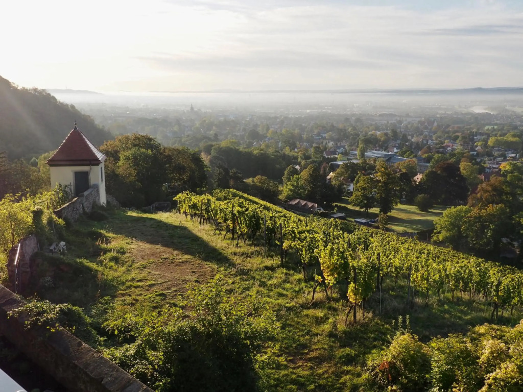 Wohlfühl-Apartment mit unvergleichbarer Aussicht