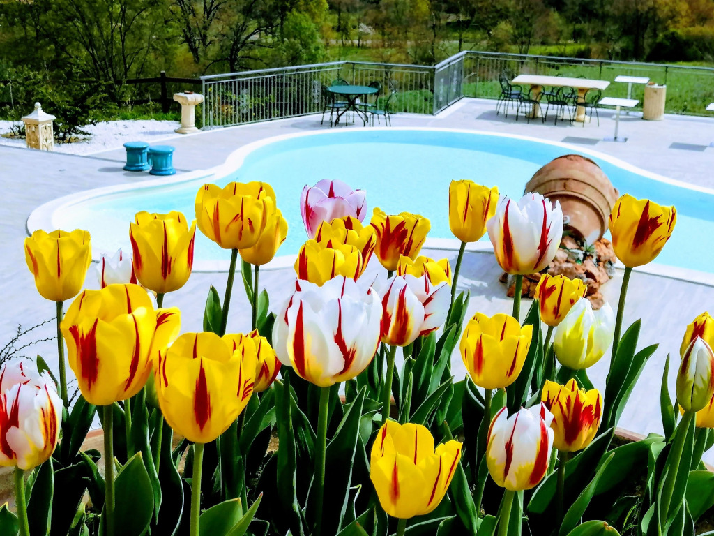 Bosco DOlmi Country House
