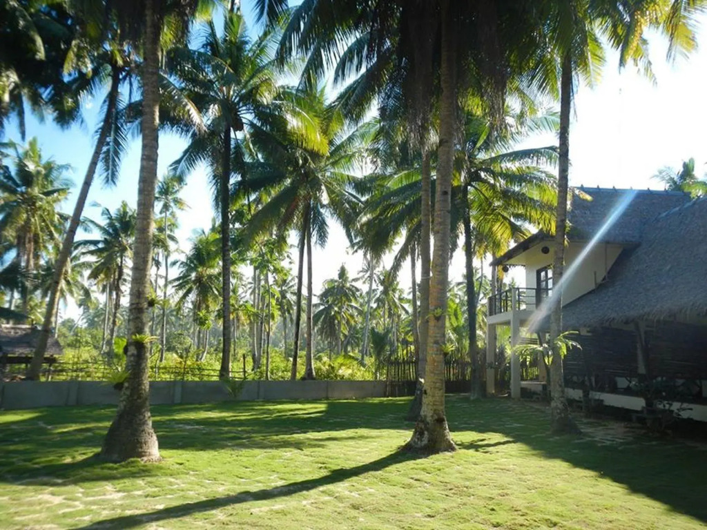 Buddha Resort