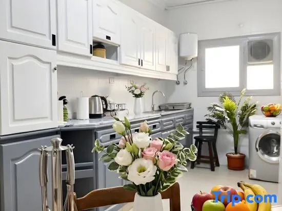 Central luxury apartment 3 bedrooms