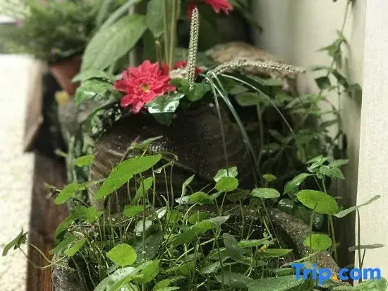 Shaoxing Baozong Jingshe Homestay