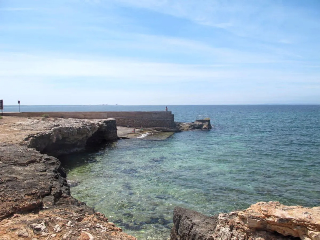 S Estanyol (LAR155)