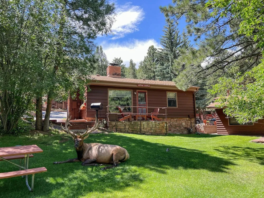 Castle Mountain Lodge