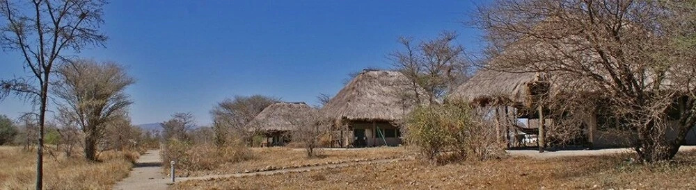 Whistling Thorn Tented Camp