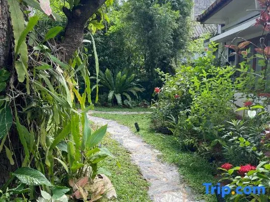Nomads Hideaway Near Matara Railway Station