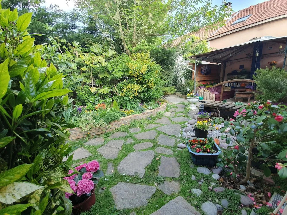 Les Nénuphars