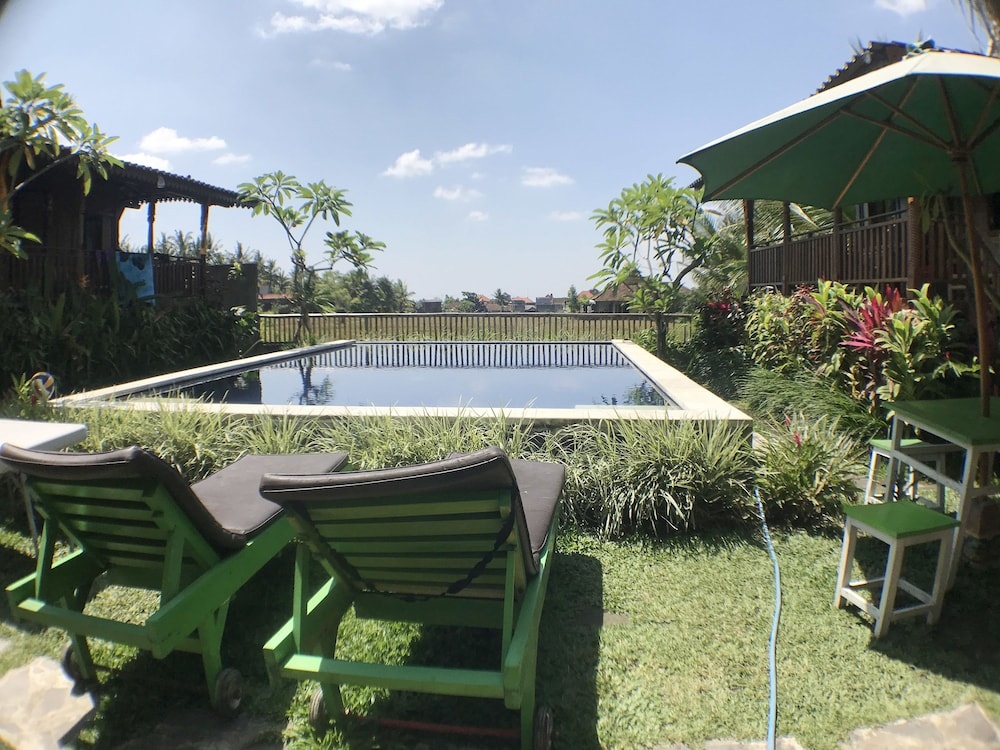 Green Paddy Hostel & Villa