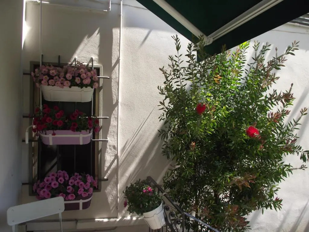 Appartamento La Casina