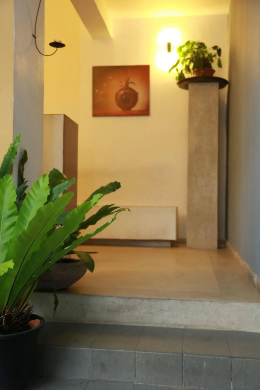 The Canes Boutique Hotel