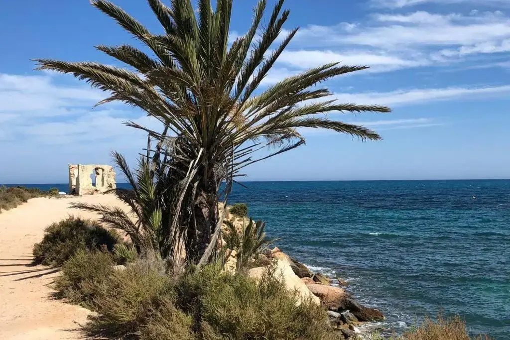 Oasis Beach Dream Holiday