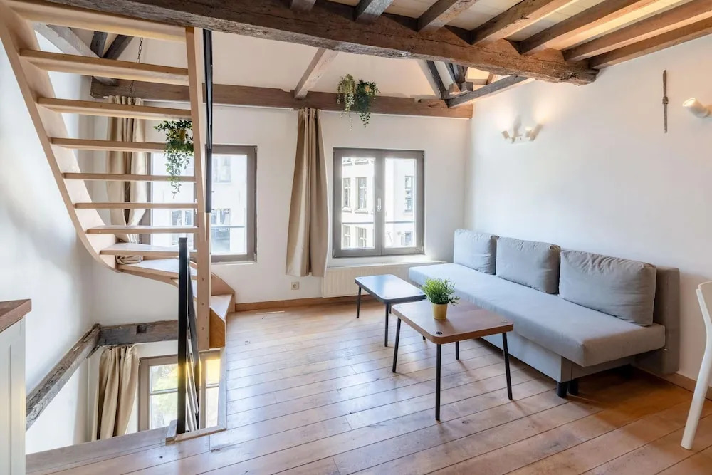 Spacious 11-person Stay in Antwerp