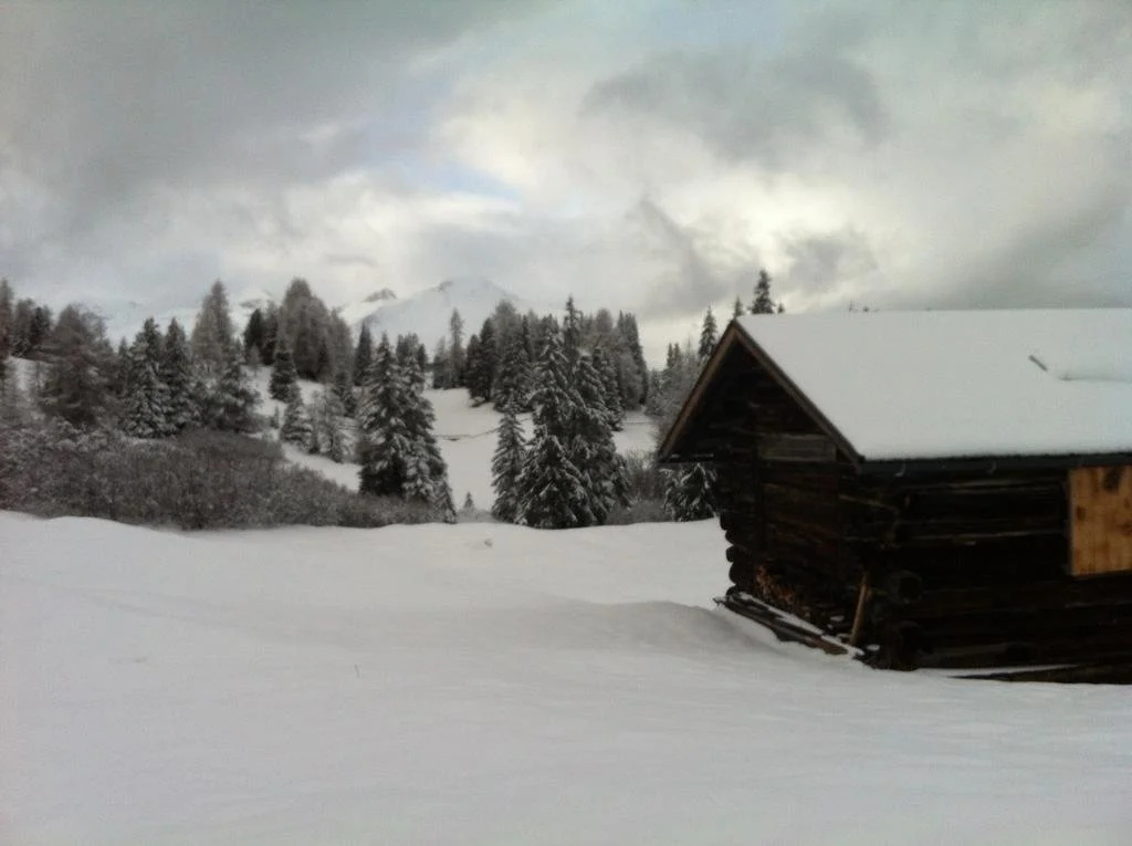 Riatschhof