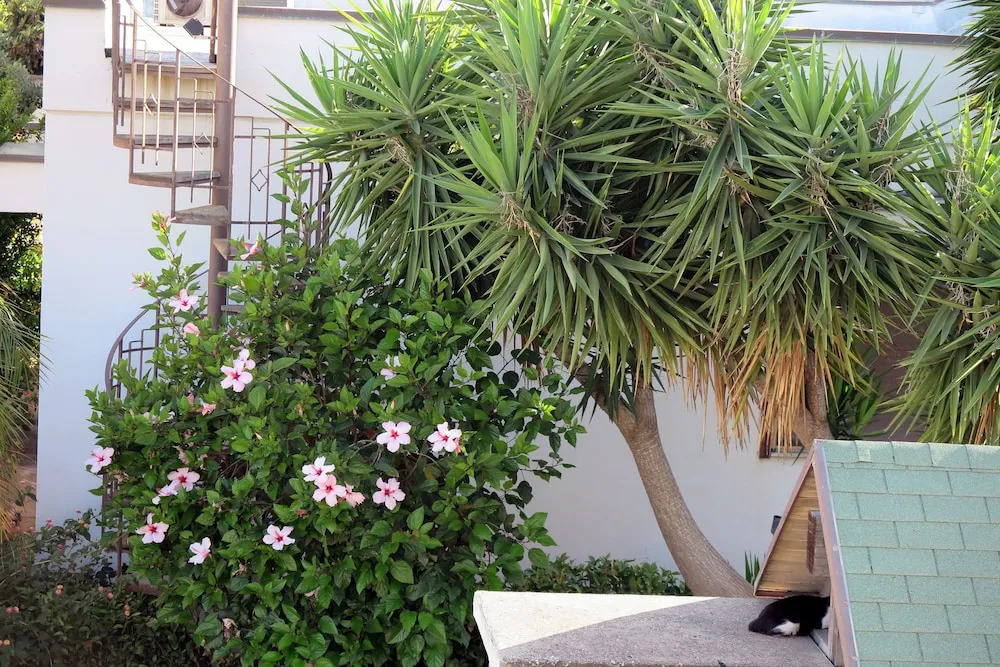 Casa Floriana a San Leone